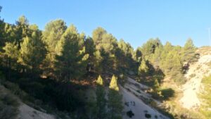 Parcela en venta en Nerpio, Nerpio