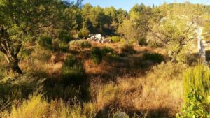 Parcela en venta en Nerpio, Nerpio