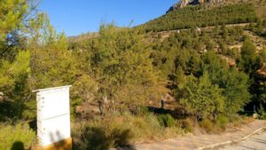 Parcela en venta en Nerpio, Nerpio
