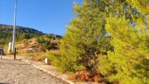 Parcela en venta en Nerpio, Nerpio