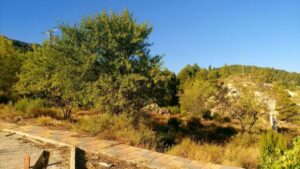 Parcela en venta en Nerpio, Nerpio