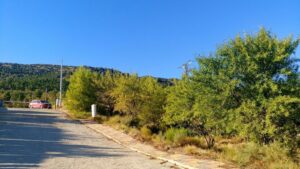 Parcela en venta en Nerpio, Nerpio