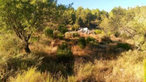 Parcela en venta en Nerpio, Nerpio