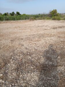 Parcela en venta en OTRAS, Alguazas
