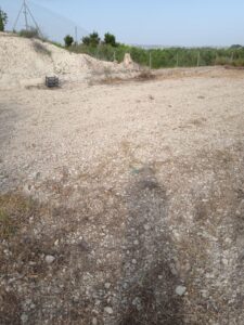 Parcela en venta en OTRAS, Alguazas