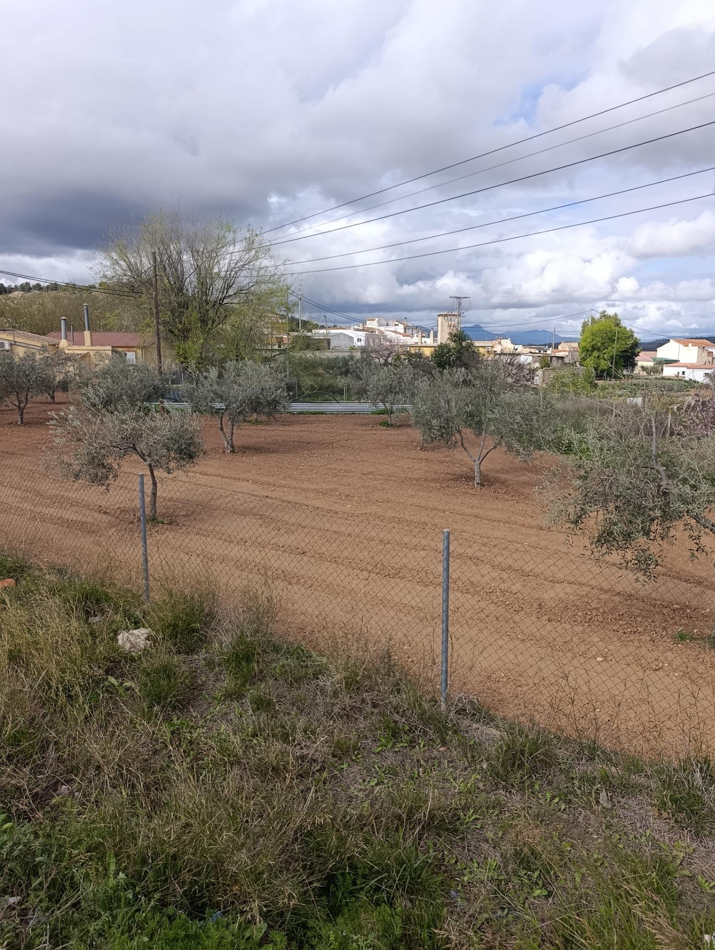 Solar en venta en Chaparral, Cehegin