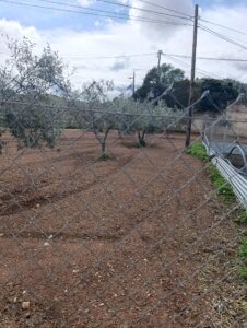 Solar en venta en Chaparral, Cehegin
