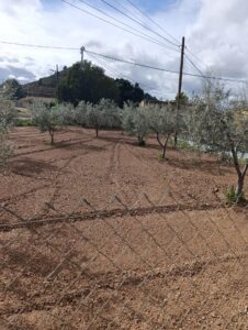 Solar en venta en Chaparral, Cehegin