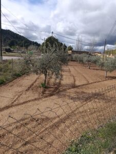 Solar en venta en Chaparral, Cehegin