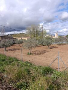 Solar en venta en Chaparral, Cehegin