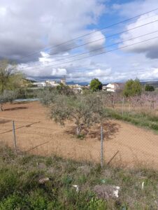 Solar en venta en Chaparral, Cehegin