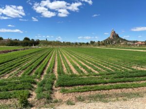 Solar en venta en Monteagudo, Murcia