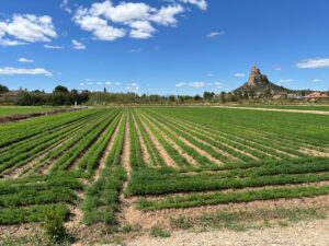 Solar en venta en Monteagudo, Murcia