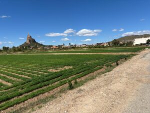 Solar en venta en Monteagudo, Murcia