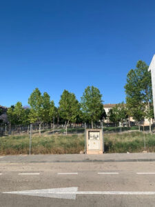 Solar en venta en Zona centro, El Palmar