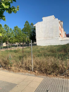 Solar en venta en Zona centro, El Palmar