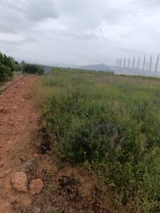 Terreno industrial en venta en - EL RELOJ  -, Fortuna