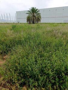 Terreno industrial en venta en - EL RELOJ  -, Fortuna