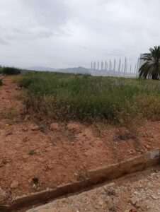 Terreno industrial en venta en - EL RELOJ  -, Fortuna