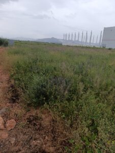 Terreno industrial en venta en - EL RELOJ  -, Fortuna