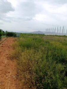 Terreno industrial en venta en - EL RELOJ  -, Fortuna