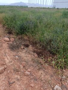 Terreno industrial en venta en - EL RELOJ  -, Fortuna