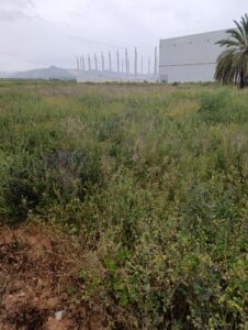 Terreno industrial en venta en - EL RELOJ  -, Fortuna