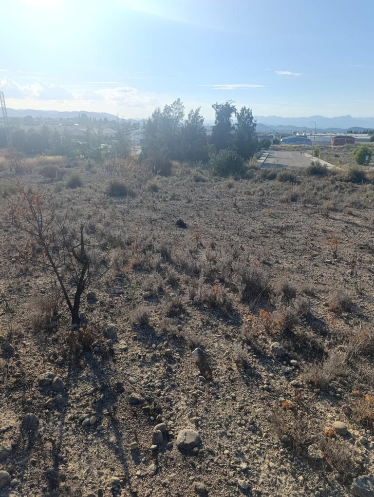 Terreno industrial en venta en Poligono Industrial Marimingo, Bullas