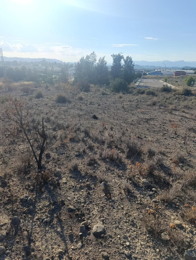 Terreno industrial en venta en Poligono Industrial Marimingo, Bullas
