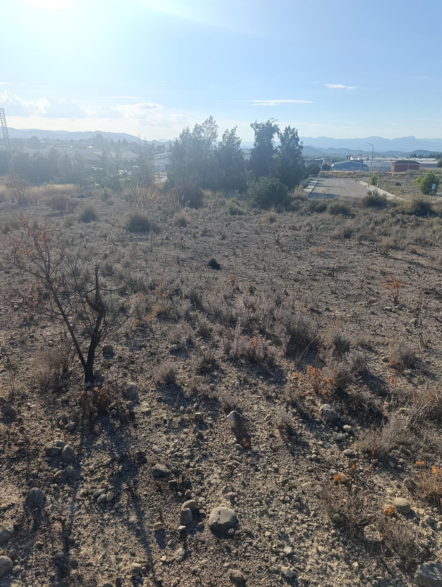 Terreno industrial en venta en Poligono Industrial Marimingo, Bullas