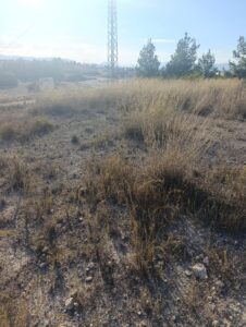 Terreno industrial en venta en Poligono Industrial Marimingo, Bullas