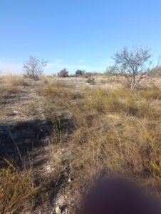 Terreno industrial en venta en Poligono Industrial Marimingo, Bullas