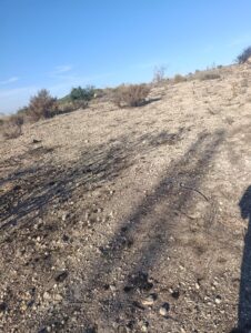 Terreno industrial en venta en Poligono Industrial Marimingo, Bullas