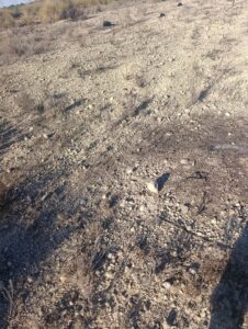 Terreno industrial en venta en Poligono Industrial Marimingo, Bullas
