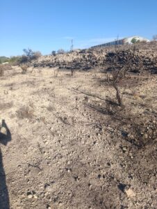 Terreno industrial en venta en Poligono Industrial Marimingo, Bullas