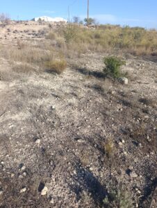 Terreno industrial en venta en Poligono Industrial Marimingo, Bullas