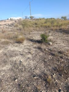 Terreno industrial en venta en Poligono Industrial Marimingo, Bullas