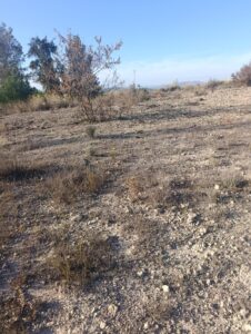 Terreno industrial en venta en Poligono Industrial Marimingo, Bullas