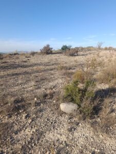 Terreno industrial en venta en Poligono Industrial Marimingo, Bullas