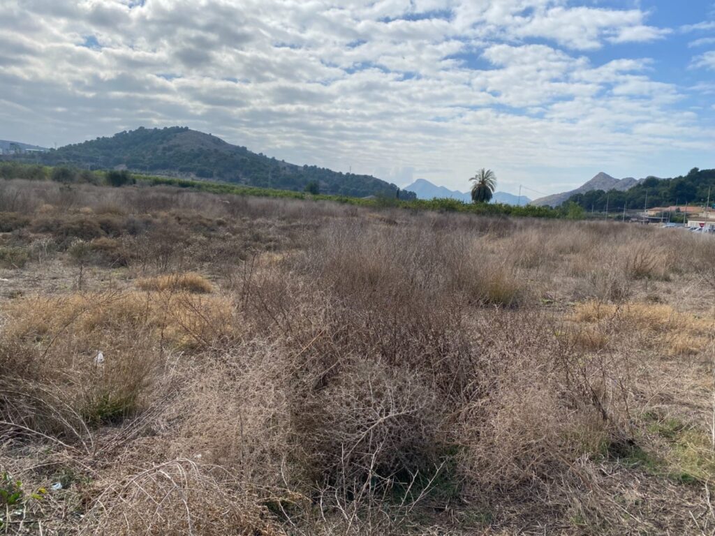 Terreno industrial en venta en Santomera, Santomera