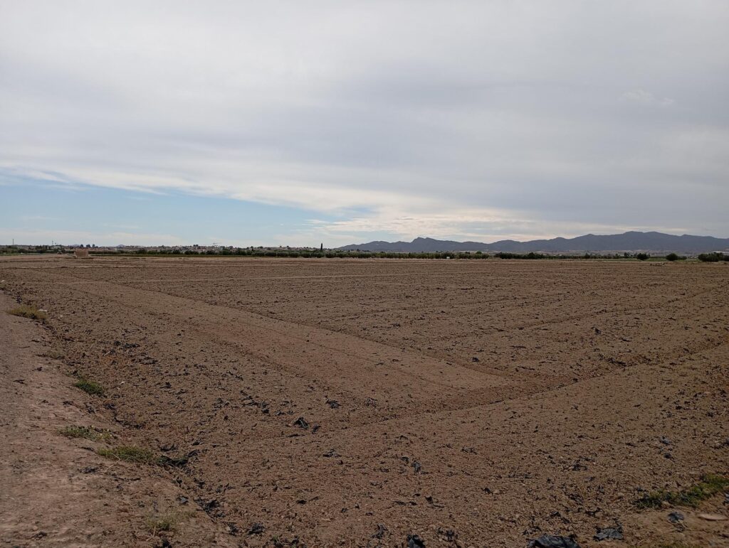 Terreno rural en alquiler en EL PARETON, Totana