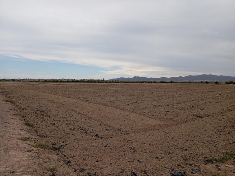 Terreno rural en alquiler en EL PARETON, Totana