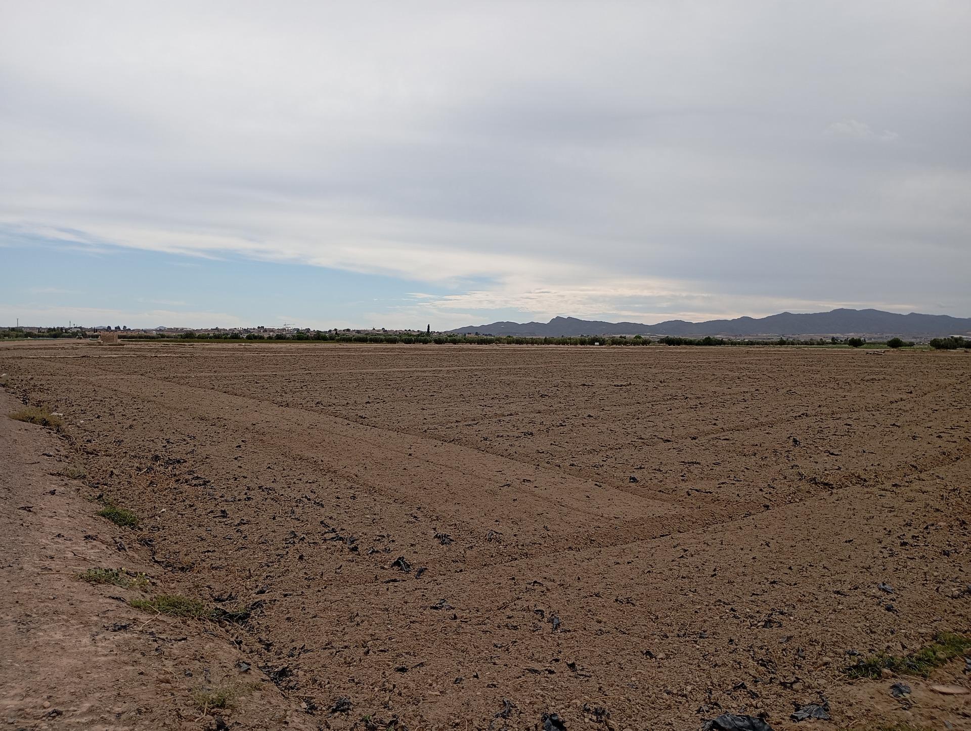 Terreno rural en alquiler en EL PARETON, Totana