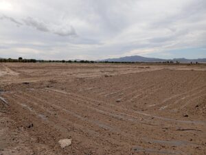 Terreno rural en alquiler en EL PARETON, Totana
