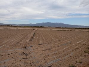 Terreno rural en alquiler en EL PARETON, Totana