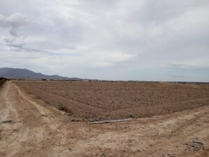 Terreno rural en alquiler en EL PARETON, Totana