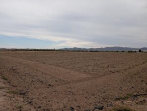 Terreno rural en alquiler en EL PARETON, Totana
