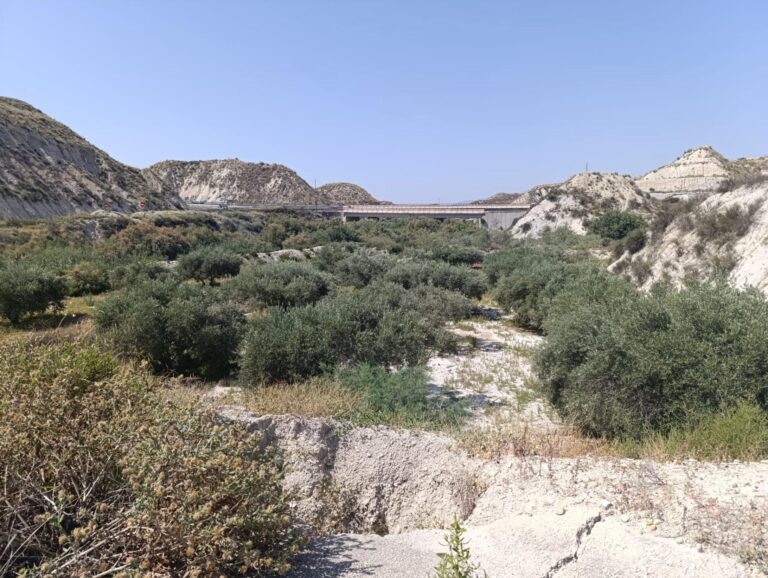 Terreno rural en alquiler en Sin Zona, Albudeite