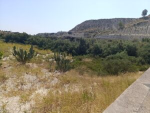 Terreno rural en alquiler en Sin Zona, Albudeite