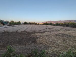 Terreno rural en venta en Aljucer, Murcia